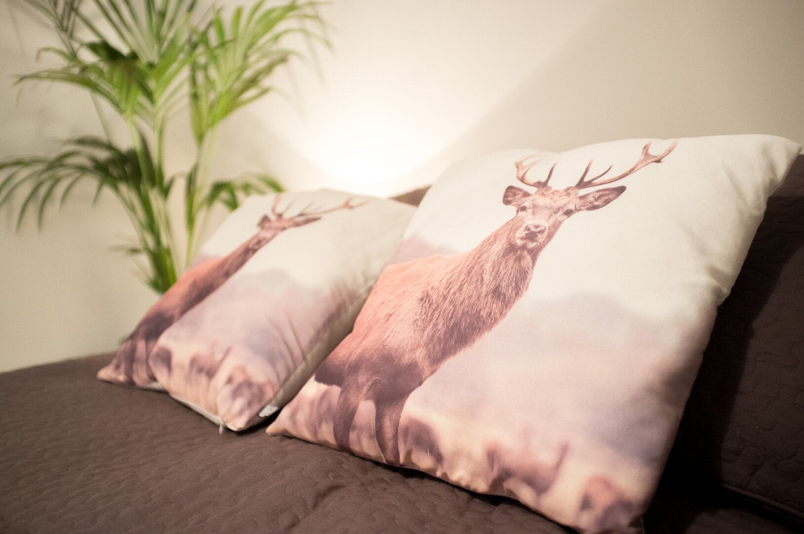 Afra Group Natalia Moszczyńska - 7